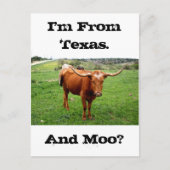 Texas Longhorn met het Grappige Gezegde van Texas Briefkaart (Voorkant)