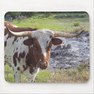 Texas Longhorn Muismat