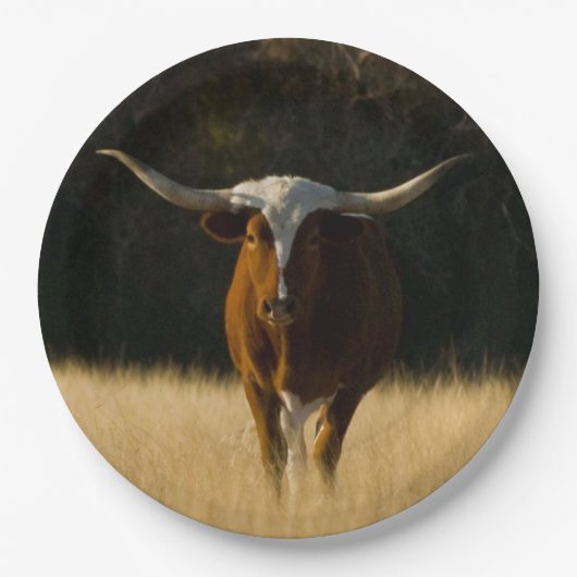 Texas Longhorn Paper Borden Papieren Bordje (Voorkant)