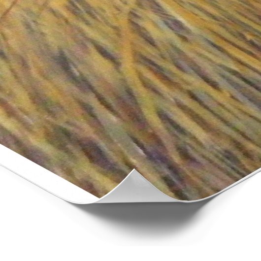 Texas Longhorn Poster (Hoek)