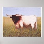 Texas Longhorn Poster (Voorkant)