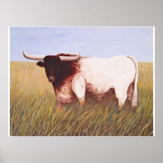 Texas Longhorn Poster (Voorkant)