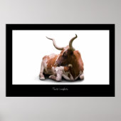 Texas Longhorn Poster Print (Voorkant)