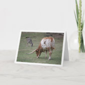 Texas Longhorn Rundvee Weiden Kaart (Voorkant)
