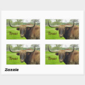 Texas Longhorn "Texas" Sticker (Vel)