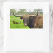 Texas Longhorn "Texas" Sticker (Tas)