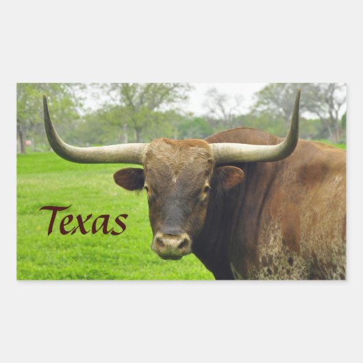 Texas Longhorn "Texas" Sticker (Voorkant)