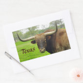 Texas Longhorn "Texas" Sticker (Envelop)