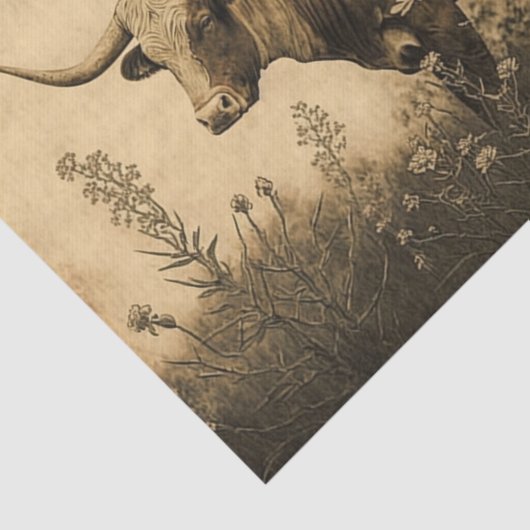 Texas Longhorn Tissuepapier (Detail)