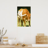 Texas Longhorn Up Close Poster (Keuken)
