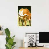 Texas Longhorn Up Close Poster (Thuiskantoor)