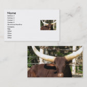 TEXAS LONGHORN-visitekaartjes Visitekaartje (Voorkant / Achterkant)