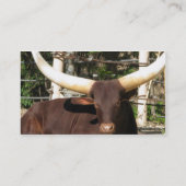 TEXAS LONGHORN-visitekaartjes Visitekaartje (Achterkant)