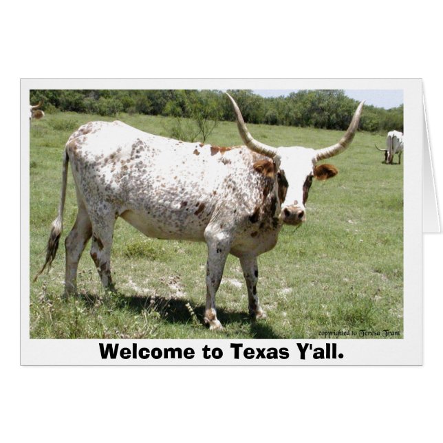 Texas Longhorn, Welkom in Texas Y'all. (Voorkant Horizontaal)