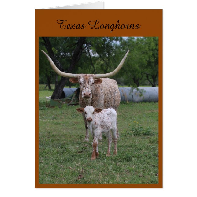 Texas Longhorns (Voorkant)