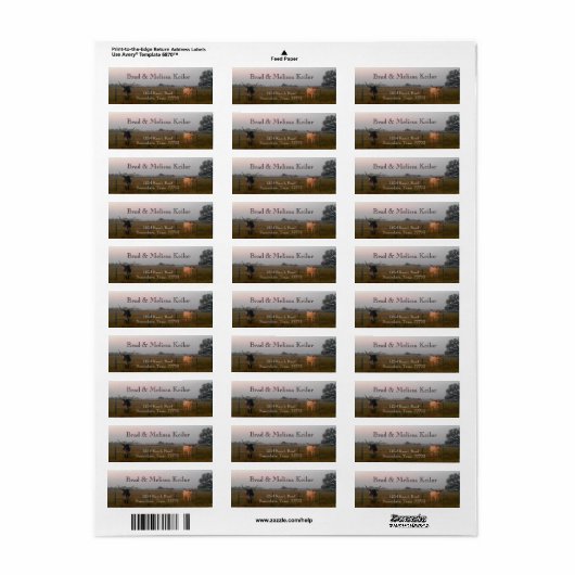 Texas Longhorns retouradreslabels Etiket (Full Sheet)