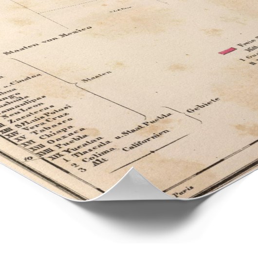 Texas, Mexico Poster (Hoek)