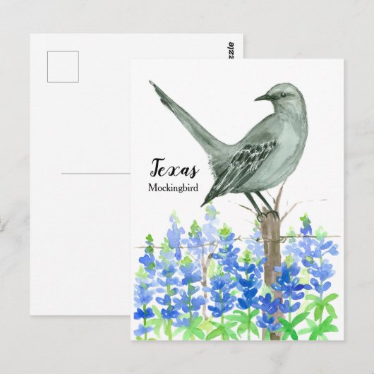 texas mockingbird bluebonnet-Waterverf Briefkaart (Voorkant / Achterkant)