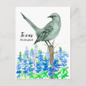 texas mockingbird bluebonnet-Waterverf Briefkaart (Voorkant)