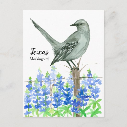 texas mockingbird bluebonnet-Waterverf Briefkaart (Voorkant)