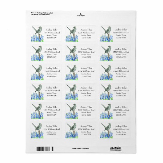 Texas Mockingbird Bluebonnet Wildflower Etiket (Full Sheet)