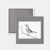 Texas Mockingbird Magnet (Voorkant / Achterkant)