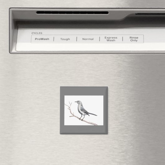 Texas Mockingbird Magnet (Insitu (Vaatwasser))