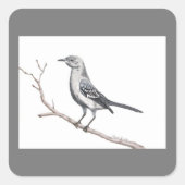 Texas Mockingbird Sticker (Voorkant)