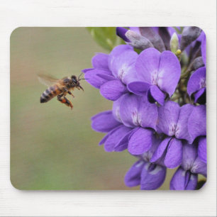 Texas Mountain Laurel Bee in Flight Muismat
