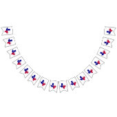 Texas Native Flag Map Vlaggetjes (Alle)