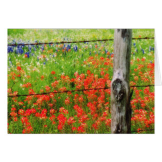 Texas Paintborstel achter Barbed WIre Fence