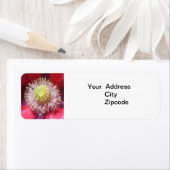 Texas Pink Skullcap Adres label (Insitu)