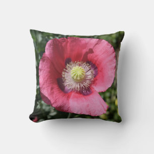 Texas Pink Skullcap Pillow Kussen