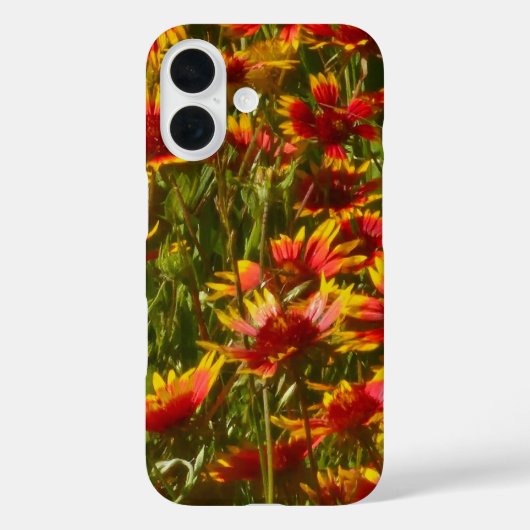 Texas Pinwheels  Case-Mate iPhone Case (Achterkant)