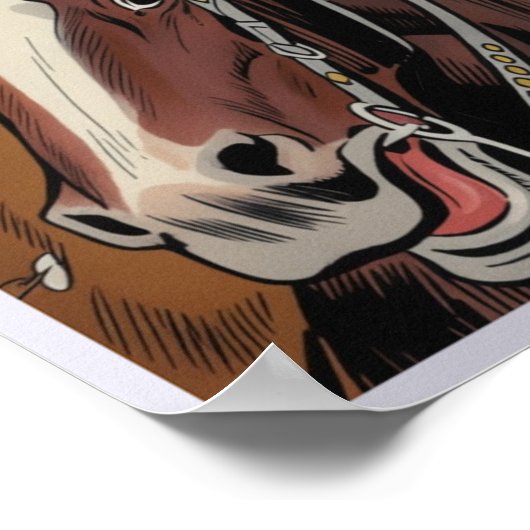 Texas Poster (Hoek)