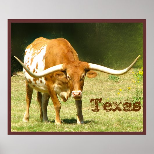 Texas Poster met Longhorn Rundvee (Voorkant)