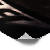 Texas *poster* poster (Hoek)