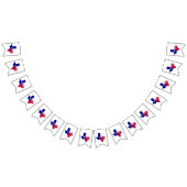 Texas Proud Flag Map Vlaggetjes (Alle)