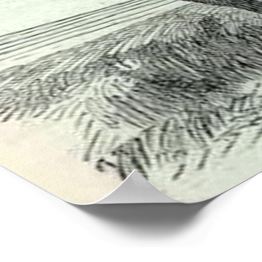 Texas Ranger Print (Hoek)