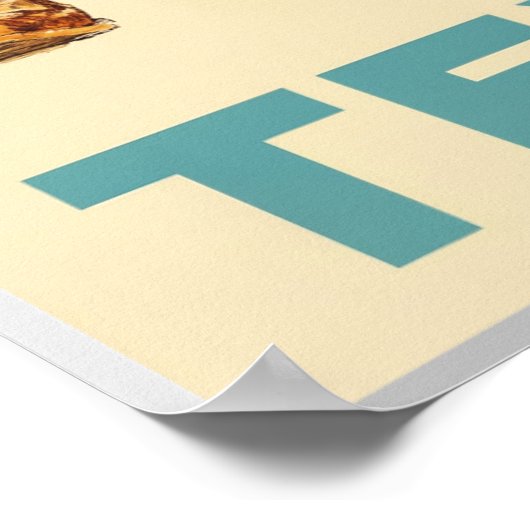 Texas reisposter poster (Hoek)