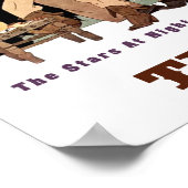 Texas reisposter poster (Hoek)