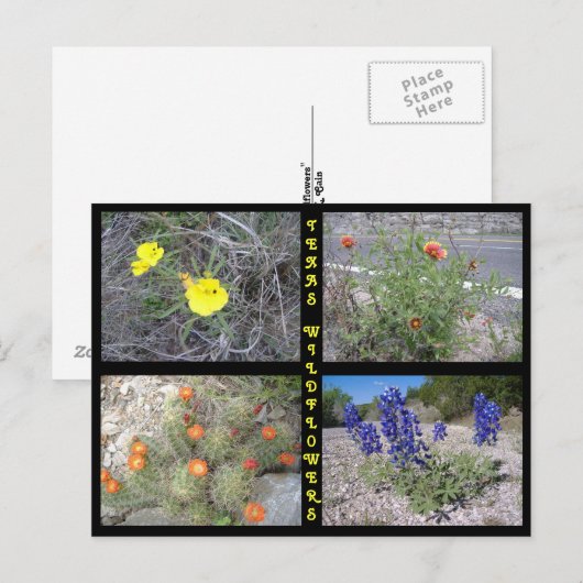 Texas Roadside Wildflower Briefkaart (Voorkant / Achterkant)