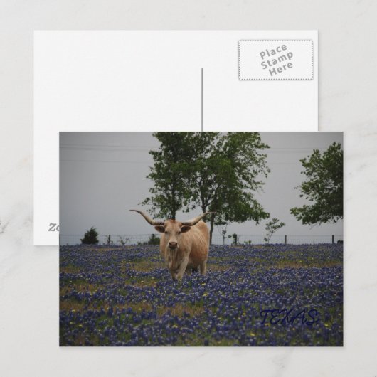 Texas Royalty Briefkaart (Voorkant / Achterkant)