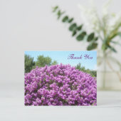 Texas Sage Dank u Briefkaart (Staand voorkant)