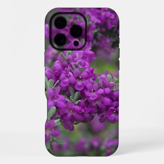 Texas Sage iPhone Case Hoesje (Achterkant)