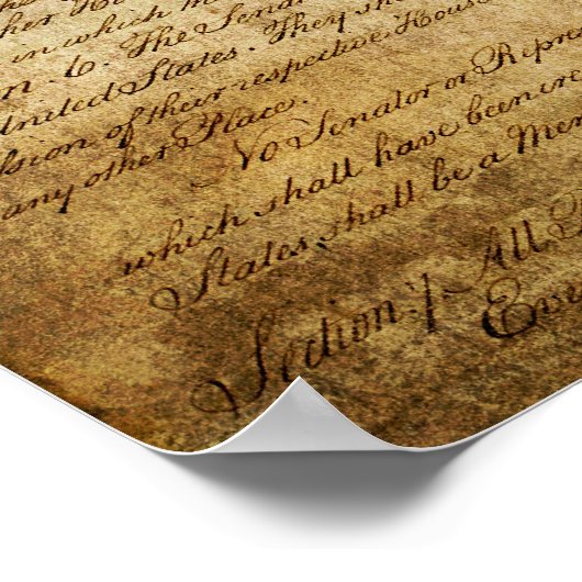 Texas Seal of 1836 Poster (Hoek)