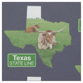 Texas Shape met Longhorn Steer State Line Sign 4 Stof (Close Up)