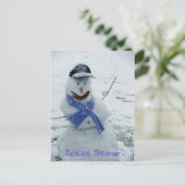 Texas Snow Briefkaart (Staand voorkant)