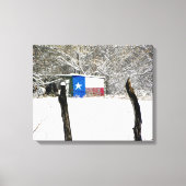 Texas Snow Canvas Afdruk (Voorkant)