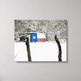 Texas Snow Canvas Afdruk